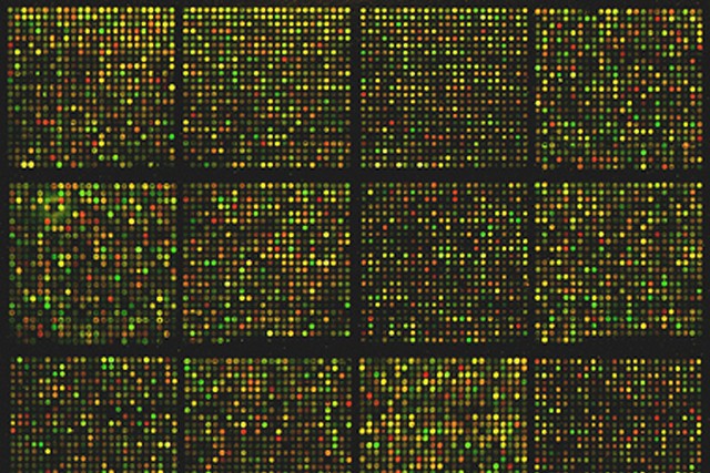 3341761068_990ca42a95_z